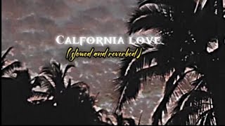 California Love  Slowed  Reverbed [upl. by Eicam]