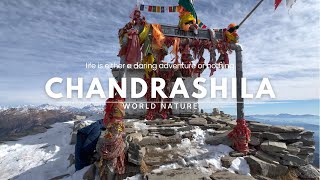 Chandrashila Trek in December  Chopta to Tungnath  Highest Peaks  Indian Himalayas [upl. by Aizitel689]