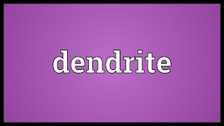 Dendrite Meaning [upl. by Heilner]