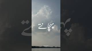 Pehchante hi nahi ab log tanha mujhe 💔💫• Aesthetic Video • Urdu Lyrics status •shortshasibangaye [upl. by Had]