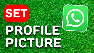 How to Set Whatsapp Profile Picture Without Losing Quality 2024  Full Guide [upl. by Herrick]