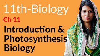 FSc Part 1 Biology Ch 11  Explain Photosynthesis  11th Class Biology [upl. by Rafaelia]