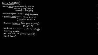 Amino Acids Part 1 of 5  Introduction [upl. by Eulau]