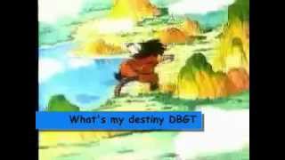 Whats my Destiny Dragon Ball GT [upl. by Lenee]