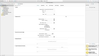 Xcode Tutorial deutsch [upl. by Ecilahc693]
