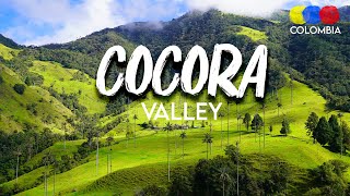 Cocora Valley Colombia Tour  Traveling Colombia [upl. by Notneiuq]