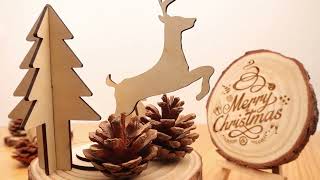 CNC NBS6040 Laser Engraving Merry Christmas [upl. by Nirrek]