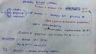 Primary biliary cirrhosis [upl. by Eneles541]