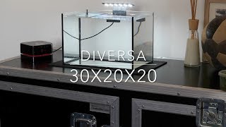 Diversa 30x20x20 aquarium 12l [upl. by Ianej465]