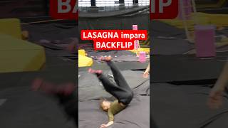 LASAGNA IMPARA BACKFLIP [upl. by Hesta151]