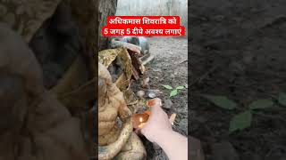 हर समस्या का हल।। Ek Lota Jal Bholenath per chadhaen5 [upl. by Weil]