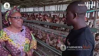 FARMERS HUB  How to minimize mortality rate in Poultry Farming 4 [upl. by Ileana]