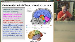 PSYCHUNIT2BIOLOGYNEURONBRAINDUALISM [upl. by Popper817]