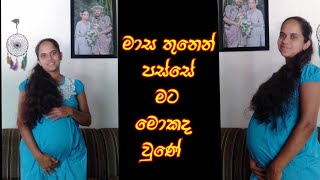 2nd Trimester 🤰 දෙවන මාස තුන [upl. by Moazami]