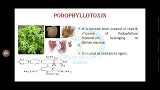 Isolation identification and analysis of curcumin and podophyllotoxin [upl. by Jordon]