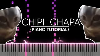 CHIPI CHIPI CHAPA CHAPA Piano Tutorial Free Midi [upl. by Ecallaw]