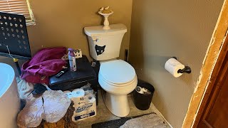 Kohler Highline Toilet 1 Month Review [upl. by Esinned]