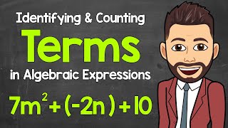 Identifying and Counting Terms in Algebraic Expressions  Math with Mr J [upl. by Nelson797]