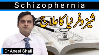 How is schizophrenia treatedurduhindi [upl. by Ihn844]