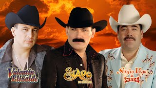 El Chapo De Sinaloa Y Sergio Vega amp Valentin Elizalde  Banda Romantica [upl. by Elder640]