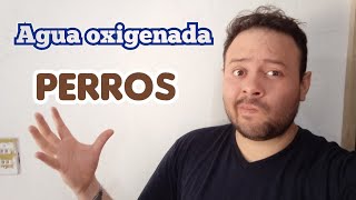 Agua oxigenada en perros para que sirve es desinfectante [upl. by Neale]