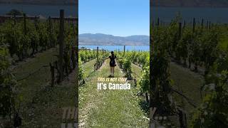 Wineries in Okanagan Valley  Here are the top 4 wineries in Kelowna BC Canada 🍷 [upl. by Elyagiba131]