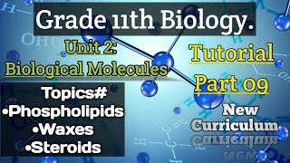 Phospholipids Waxes Steroids Class 11Biology Unit2 Biological Molecules Part9 [upl. by Assed]