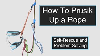 How To Prusik Up a Rope  Trad Climbing SelfRescue Skills [upl. by Hplodur]