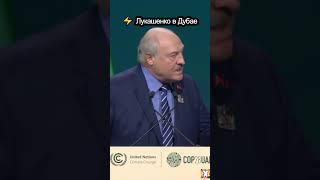 🔥Лукашенко в Дубае shorts дубай оаэ арабскиеэмираты ценывдубае отдыхвдубае dubai эмираты [upl. by Benil747]