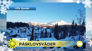 Grattis alla påsklovsfirare som ska till fjällen  Det blir gott om både sol och snö  Nyhetsmorgon [upl. by Atenek]