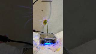 Tesla coil vs dandelion [upl. by Naols]