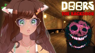 VISITE DES SOUS SOL DE DOORS 😱 Roblox  The Backdoor Run complet 50 ➜ 0 [upl. by Nuahsad]