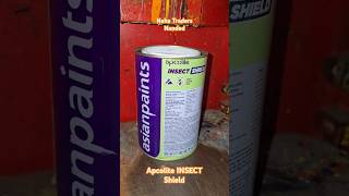 Apcolite INSECT Shield Enamel asianpaint reels diy painting enamel youtube shorts trending [upl. by Nylhtak92]