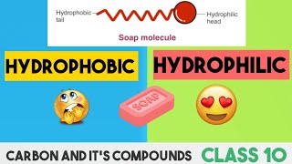 What is Hydrophobic amp HydrophilicCleaning action of Soap micellesClass 10Carbon and Compound [upl. by Olrac450]