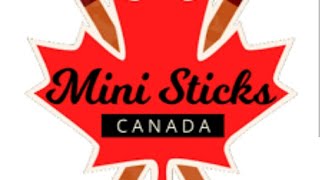 mini sticks pt2 [upl. by Ecnerolf]