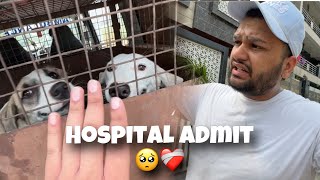 Bacha Party Sterilisation Ke Liye Hospital Chale Gye🥺 vlog [upl. by Neitsirhc]