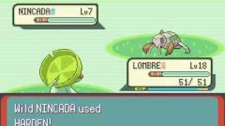 GameShark 5000 exp Codes Pokemon Emerald [upl. by Droffilc]