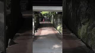 京都・新緑の宇治上神社、興聖寺2012年・手振れ注意 shorts kyoto Japan [upl. by Raye799]