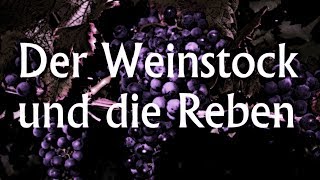 The Vine and the Branches 22 Der Weinstock und die Reben  Paul Washer [upl. by Skelly]