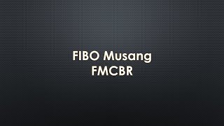 Fibo Musang FMCBR [upl. by Folberth]