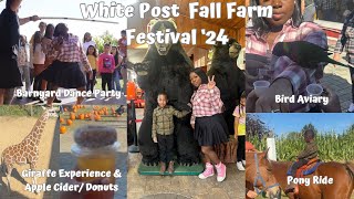 OMG THIS FALL FESTIVAL IS A MUST WHITE POST FARMS l NYC [upl. by Rockefeller]