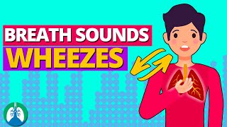 Wheezes Lung Sounds What is Wheezing  Breath Sounds Guide [upl. by Foah]