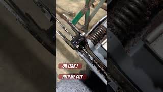 Chainsaw Has an Oil Leak chainsawrepair [upl. by Lilaj]