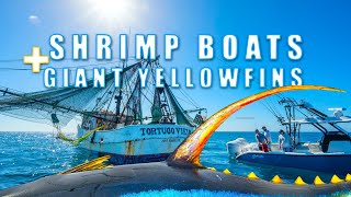 Into The Blue quotGiant Yellowfin Tuna on Shrimp Boatsquot 2012  Season 4 Episode 5 [upl. by Barbur]