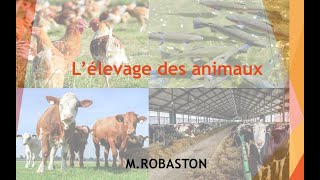 6ème Lélevage des animaux SVT [upl. by Liban]