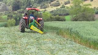 Sistema de Enfardado de Forraje AGRO FORN  quotSEGADORAquot en Avena Forrajera Sopó Colombia 2019 [upl. by Oilegor]