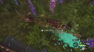 theHunter™ Call of the Wild Axis Deer Quick kill [upl. by Nodnal156]