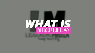 What is Nucellus [upl. by Lilaj]