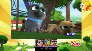 All New Puppy Dog Pals PromoMMCH Split Screen Credits On Disney Channel June 19 2020 [upl. by Nylsor]