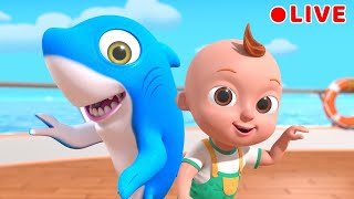 Baby Shark  more Nursery Rhymes  Beep Beep Nursery Rhymes amp Baby Songs [upl. by Trever702]